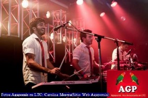 Agapornis (Four Aniversary Sitio Web Carolina Morera 014)